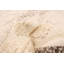 Tapis de couloir crème en laine 2 pi 8 po x 8 pi Andren One-of-a-Kind