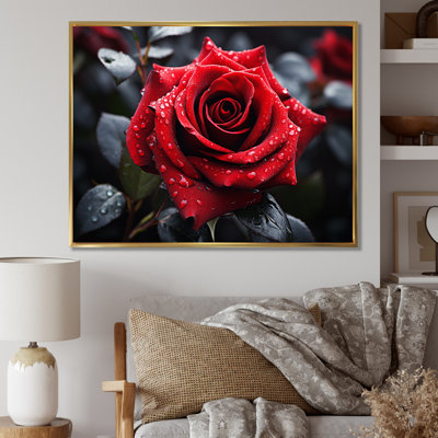 «Atthew Water Drops on Red Rose Majesty II», reproduction