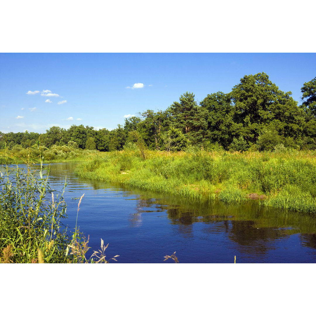 Landschaft mit Fluss und Wald von Mordolff - Druck auf Leinwand ohne Rahmen