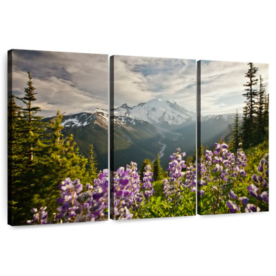 Alvord Mt. Rainier