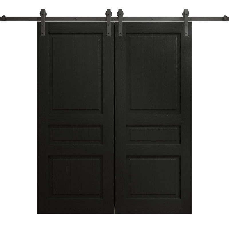 Porte de grange double moderne | Ego 5012 | Ensemble de rail | Portes intérieures solides, Chêne noir peint, 64 po x 96 po