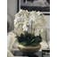 Blaze Bowl With Phalaenopsis Orchids-831485841