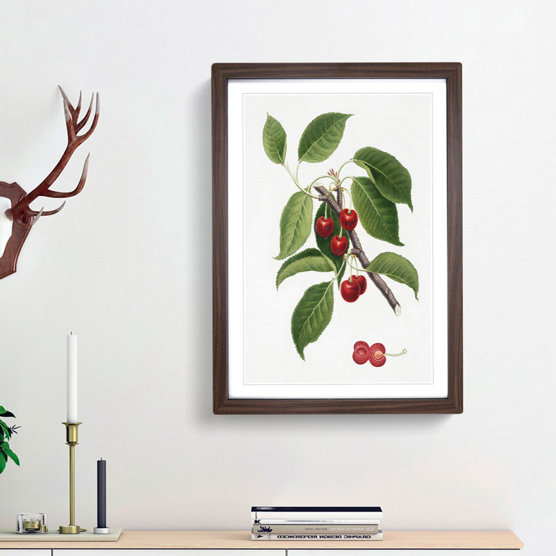 Sour Cherry Tree by Giorgio Gallesio - Picture Frame Painting Print, 65cm H x 48cm W x 2cm D, Walnut Framed