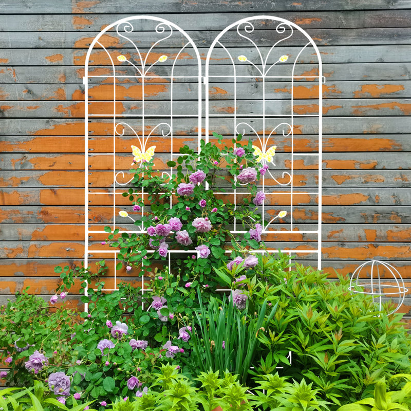 Paquet de 4 support de plante d'escalade extérieur en métal galvanisé pour treillis de jardin, Blanc, crème