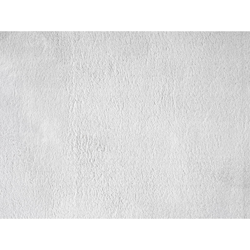 Taeler Washable Modern Living Room Rug Polyester Plain Indoor Area Rug with Low Pile - Anti-Slip Felt Backing SuperSoft Carpet Bedroom-Hallway, Silver