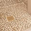 Drain de douche Delmar Lotus Center Grid-49609848