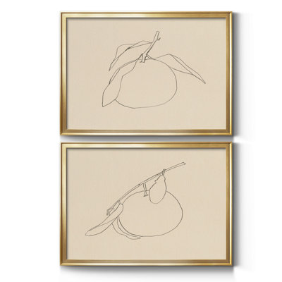 " Citrus Contour I " 2 - Pieces