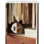 Armoire de rangement style buis Style