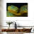 African Bush Viper-107922591