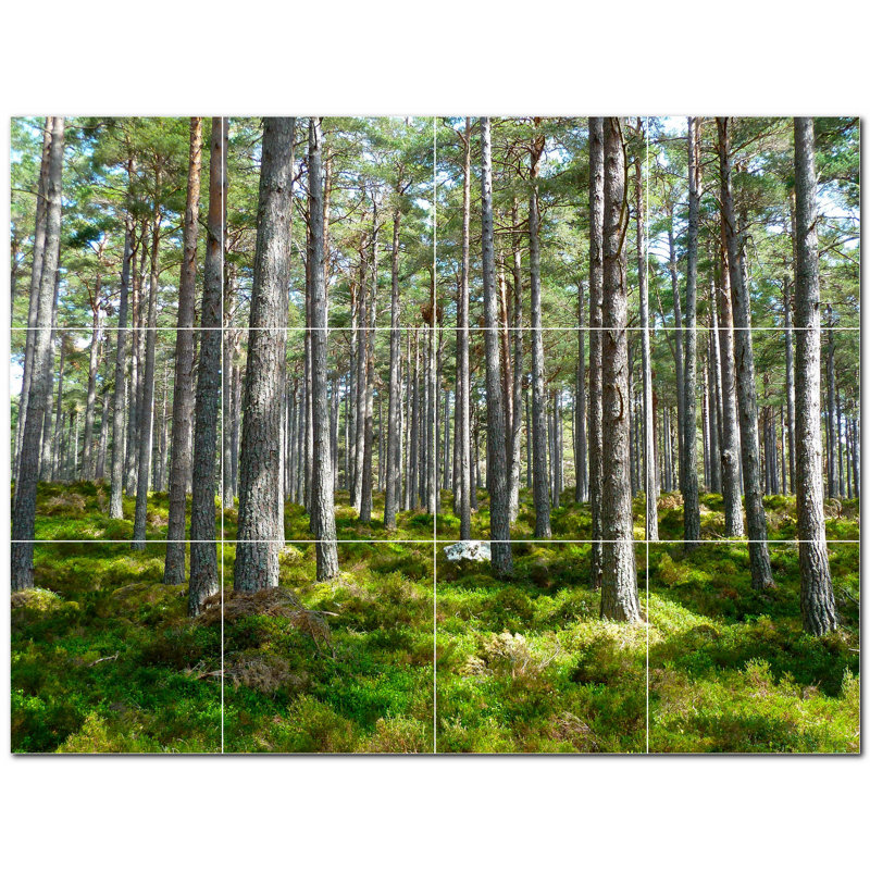 4,25 x 4,25