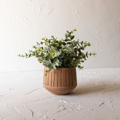 Terracotta Indoor Pot Planter