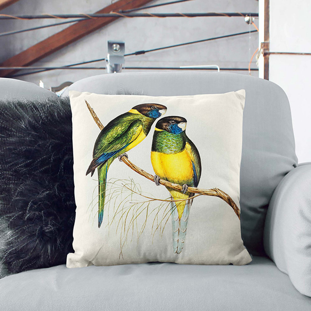 Bauer's Parakeets by Elizabeth Gould Cushion with Filling
