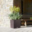 Moneak Planter Box-1391113114-1392064359