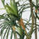 91'' Faux Dragon Tree Tree in Pot