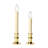 LED Holiday Lighting-1864654499