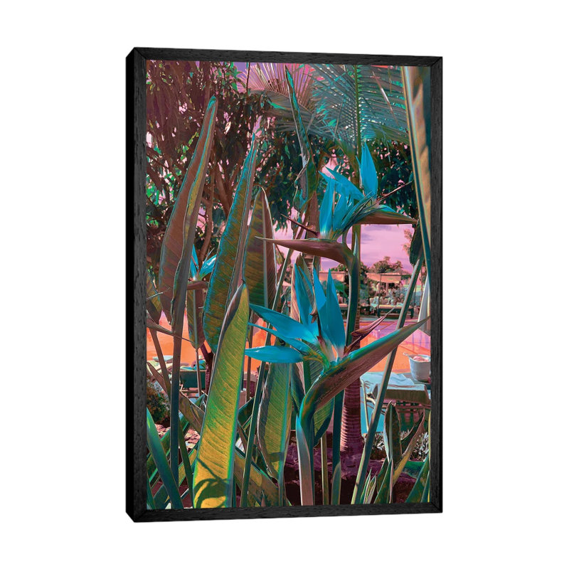 Ultra Tropical by Nathan Head - Print on Canvas, Black Framed, 66.04cm H x 45.72cm W x 3.81cm D