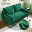 Collierville 2 Seater Velvet Sofa-1516899070