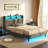 Karo Upholstered Metal Wingback Storage Bed with Headboard, Charging Station and LED Lights-753594849-788990414