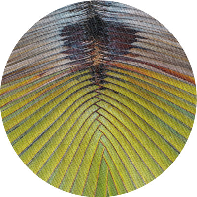 Vert Leta/brun Tapis décoratif
