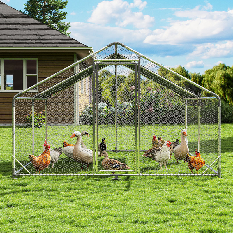 Chicken Coop For Up To 48 Chickens, 194.1cm H x 400.1cm W x 300.2cm D
