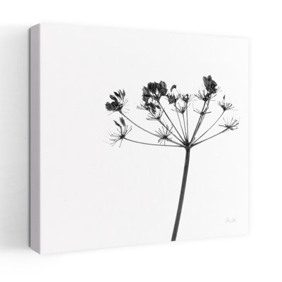 Art floral contemporain Stark