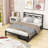 Metal Platform Bed with 2 Drawers-1514307474