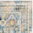 Emberlin Performance Oriental Rug-24292548