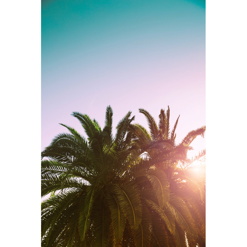 Palm Trees Branches - Wrapped Canvas Print, 46cm H x 30cm W x 3.8cm D