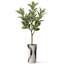 Arbre artificiel en fleur noire et blanche-104345536