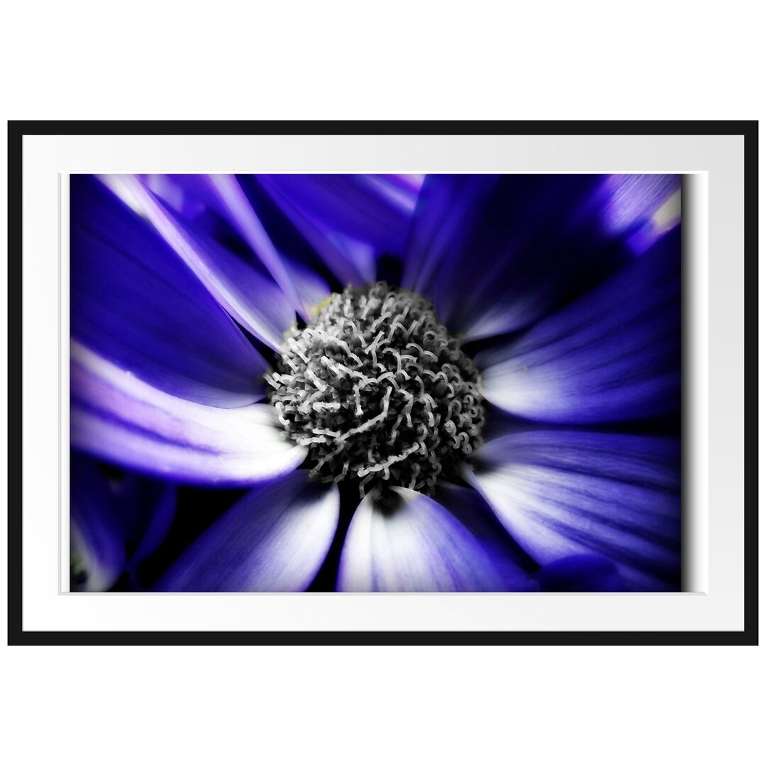 Gerahmter Fotodruck Beautiful Daisy