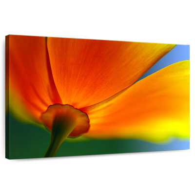 Harnek Summer Blossom