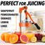 Presse-fruits manuel Zulay Kitchen - Presse-agrumes commercial robuste-40822183