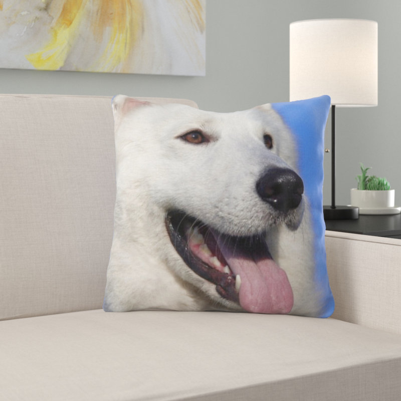 Coussin décoratif chien swiss berger