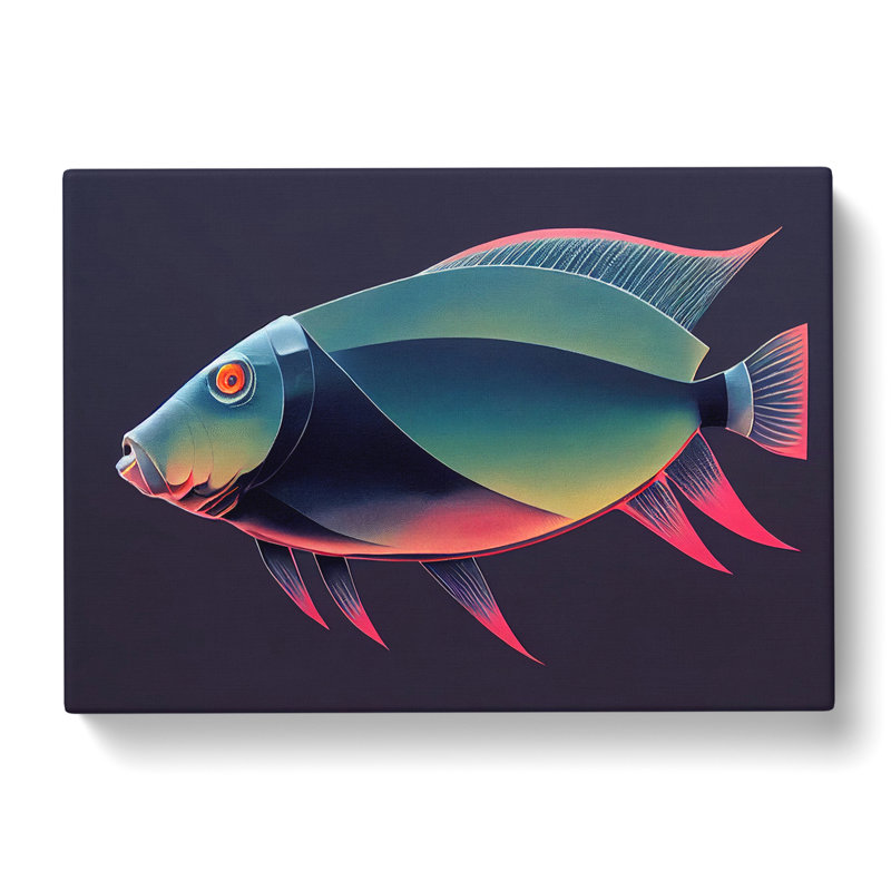 Pretty Fish - Wrapped Canvas Print, 35cm H x 50cm W x 3cm D