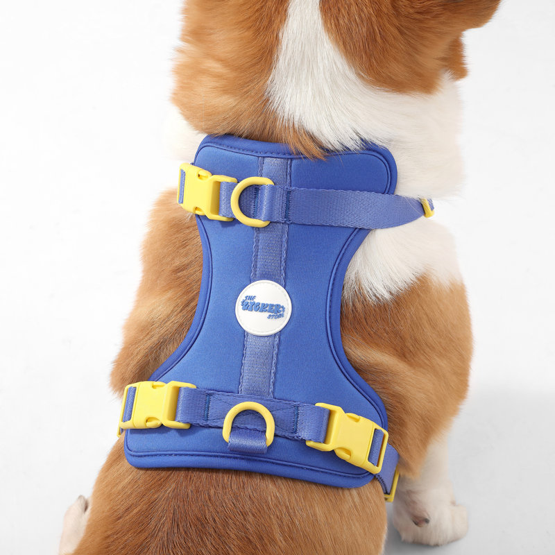 Harnais pour animal de compagnie Arlo, Médium, Bleu très foncé