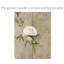 Armoire Modern Moon