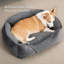 Pet Bed