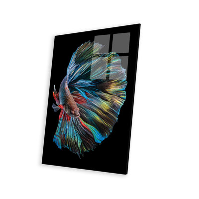 Le poisson Betta