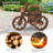 Lizzett Indoor / Outdoor Statue Planter