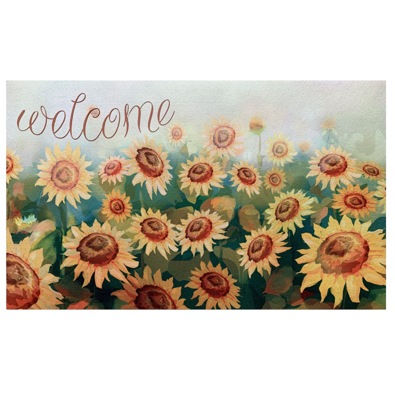 Tapis de porte d'extérieur antidérapant Amy-Rae 18 po x 30 po