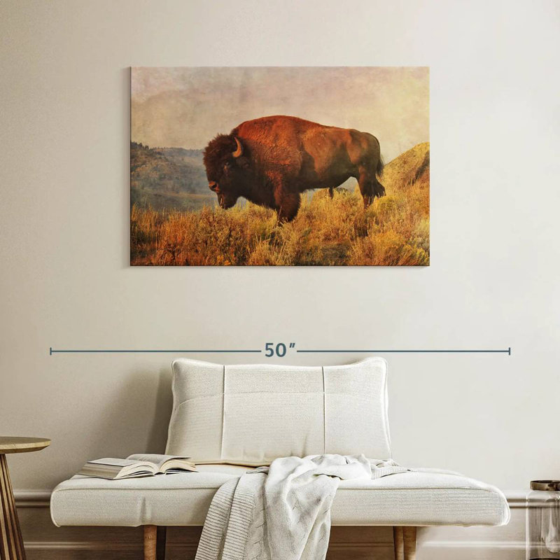Bison sauvage sur le terrain, H 26 po x l 39 po