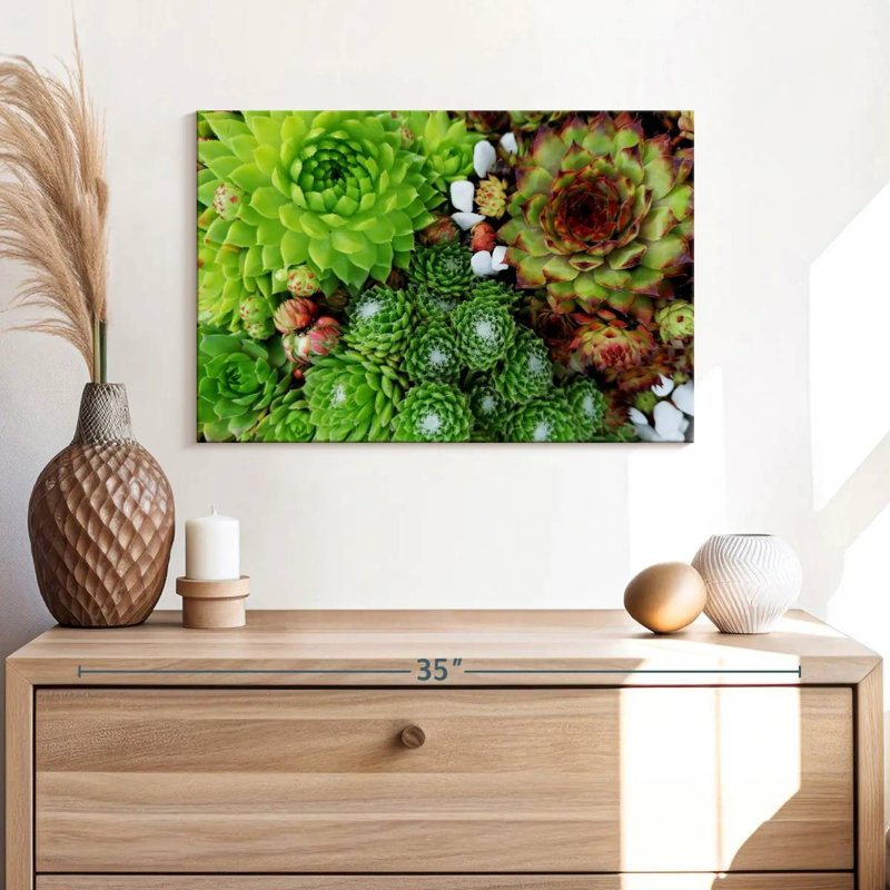Harnek Succulent Varieties, 16" H x 24" W