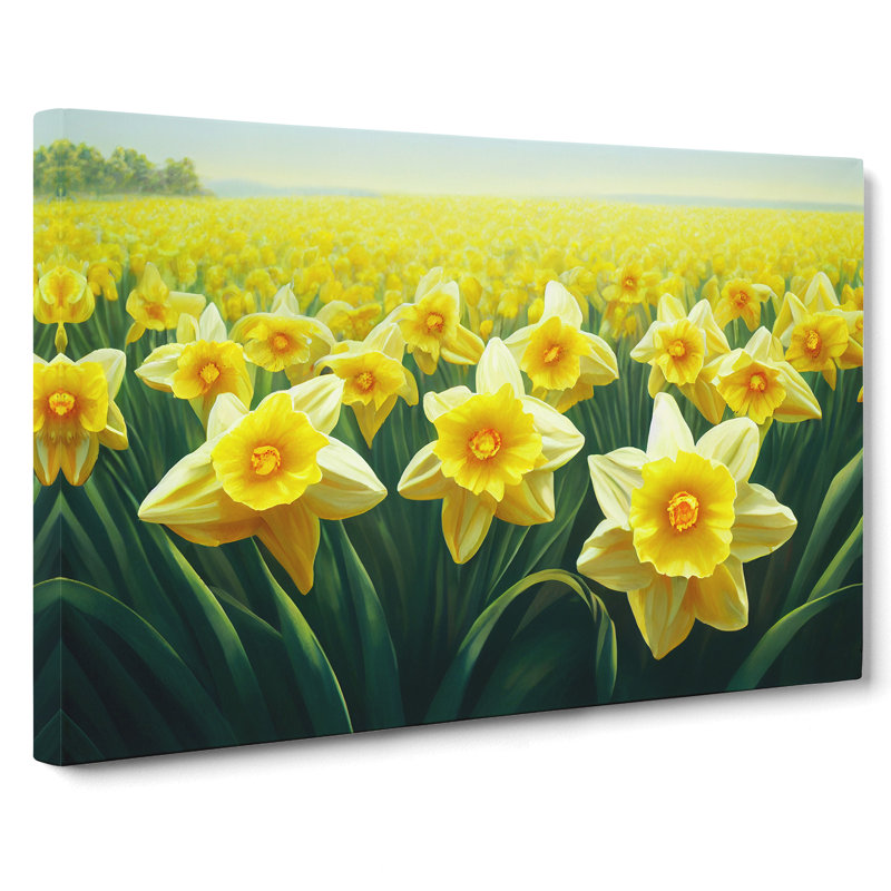 Virtuous Daffodil Flowers - Wrapped Canvas Print, 50cm H x 76cm W x 3cm D