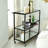 Gregoriana Mirror Bar Serving Cart-788597538