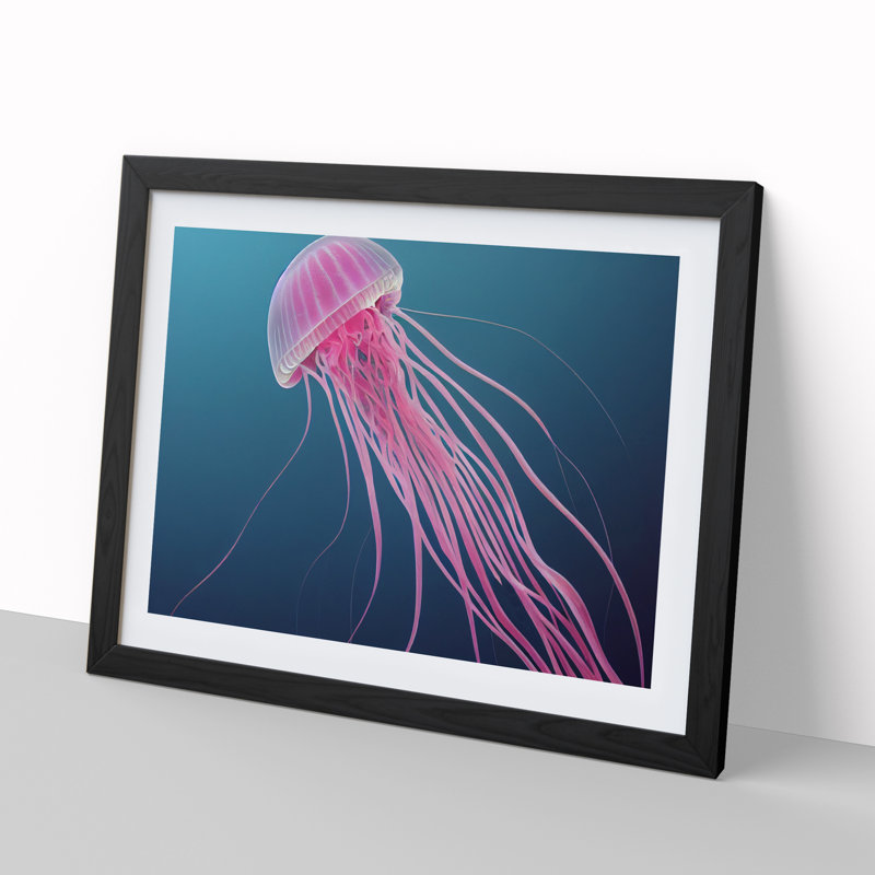 Jellyfish - Single Picture Frame Print, Black, 46cm H x 64cm W x 2cm D