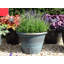 Sagamore Planter-35321490