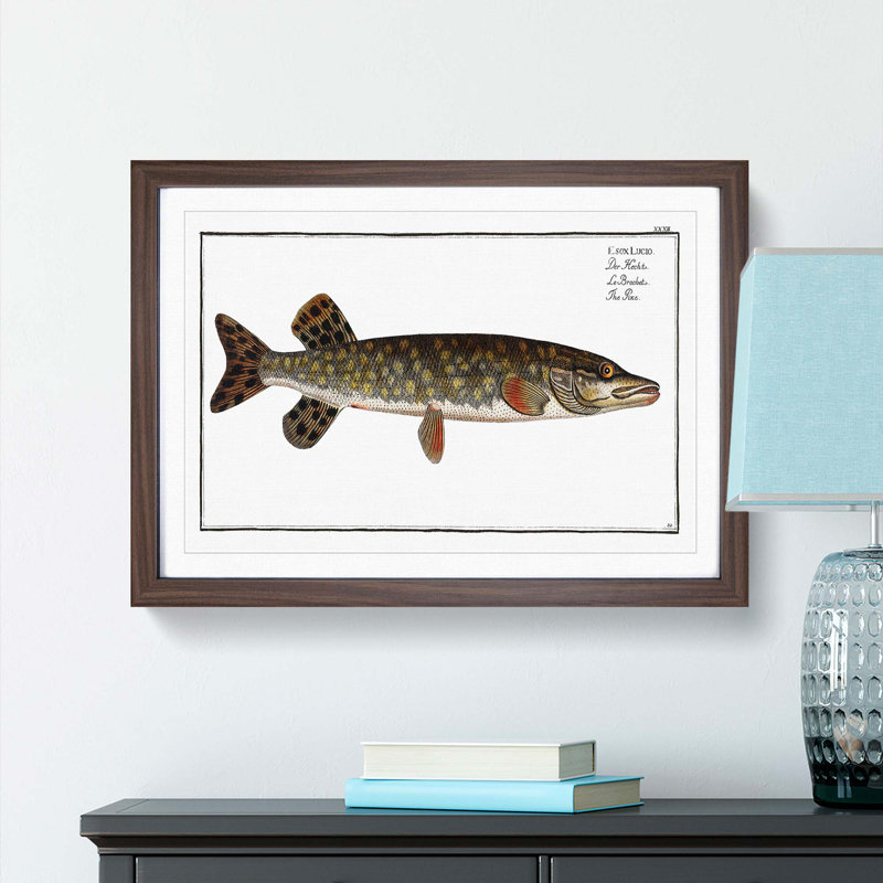Pike Fish by M.E. Bloch - Picture Frame Painting Print on MDF, 36cm H x 48cm W x 2cm D, Walnut Framed