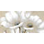 «White Abstract Wild Flowers - Botanical Office», reproduction encadrée-552545414-552545410
