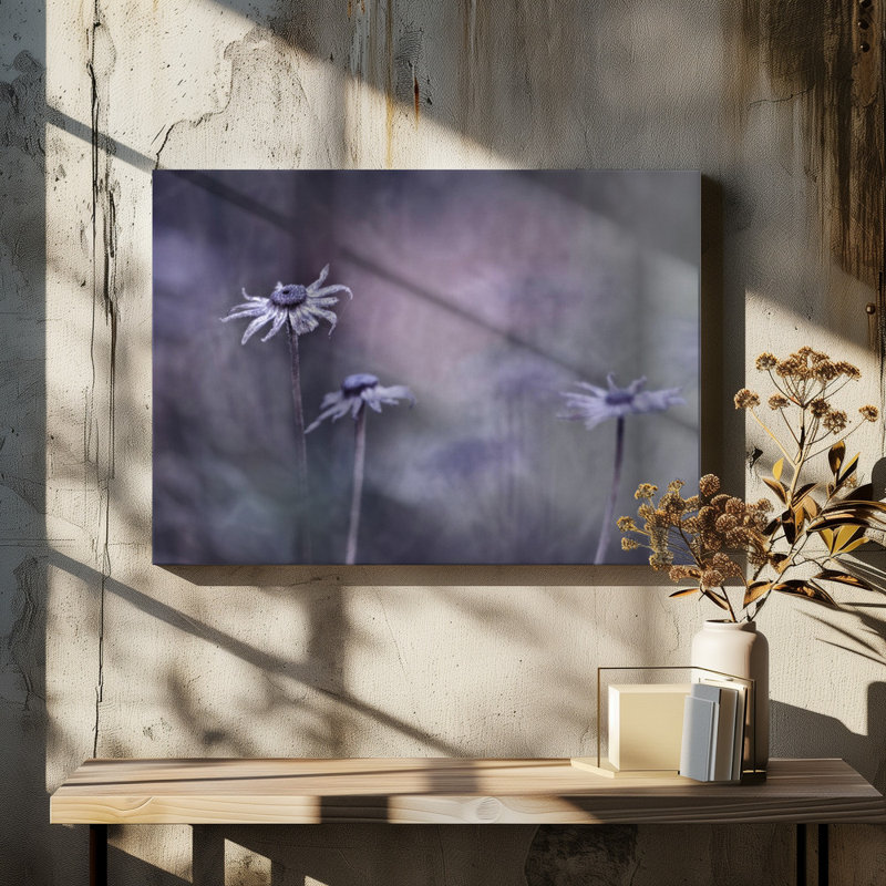 Wrapped Canvas Print, 50.8 cm H x 76.2 cm W