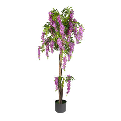 170cm Plant